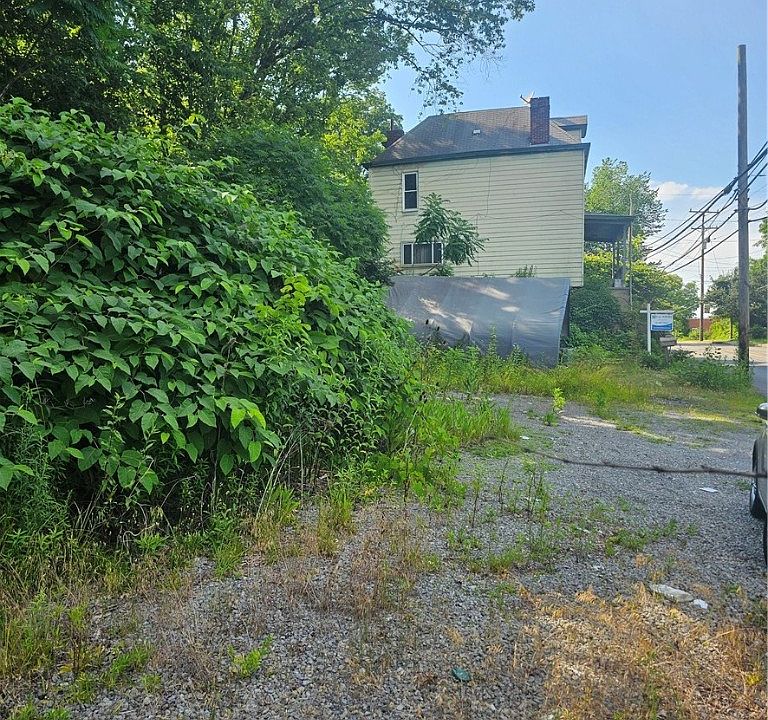 2nd image of 1213 Island Ave
