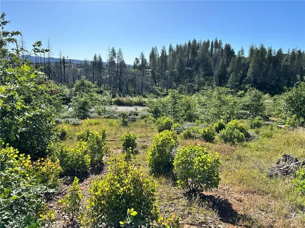 0 Katella Rd, Berry Creek, CA 95916