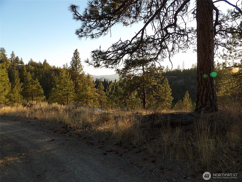 5th image of 0 TBD Bear Camp Road