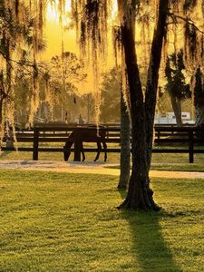 2138 Palm Deer Drive, Loxahatchee, FL, 33470