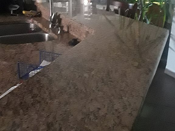 3rd image of 445 Dahoon Holly Dr