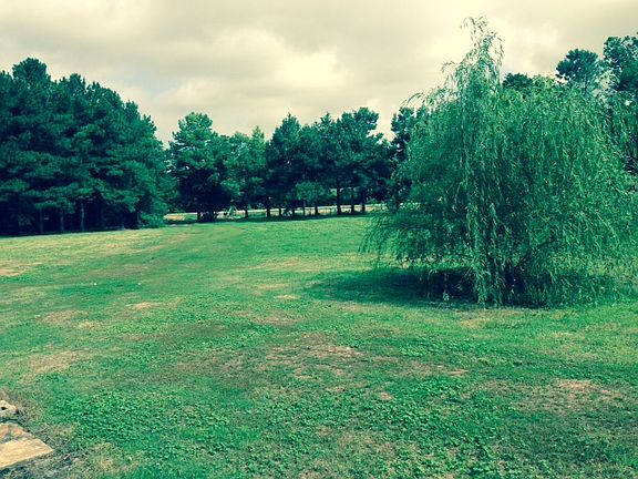 Front yard to highway