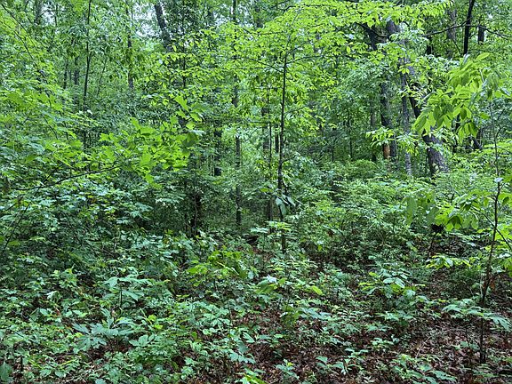 3rd image of 18 Avenue Lot 6