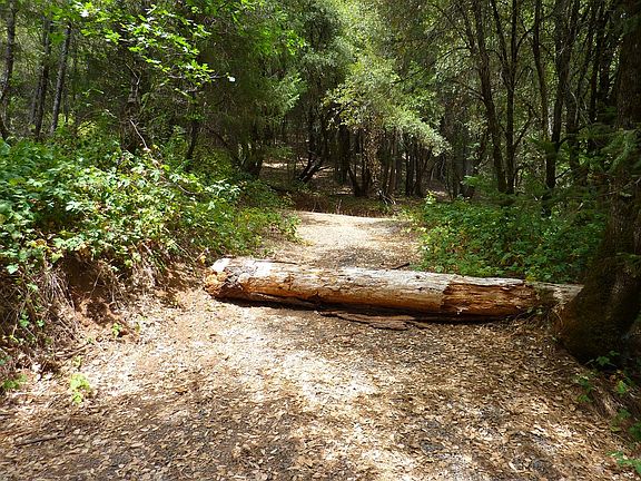 4th image of 69 Acres Hwy 299e