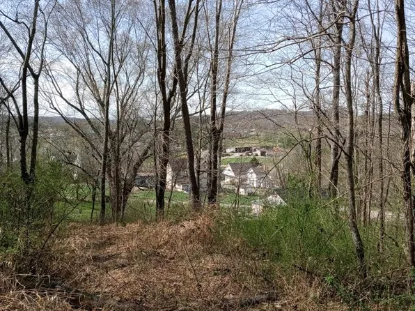 0 Essman Sugar Camp Rd, South Webster, OH 45682