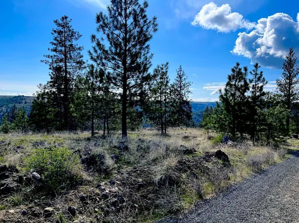 34430 Partridge Ln N, Davenport, WA 99122