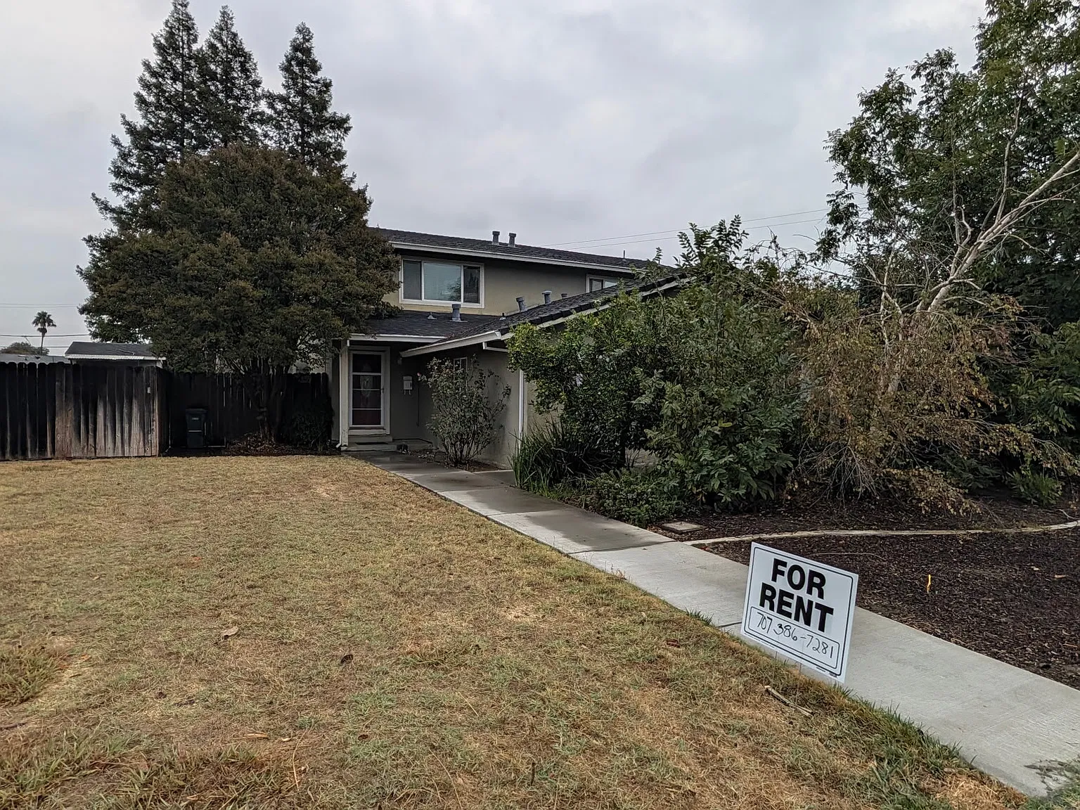 3 bed, 1100 sqft, $2,500 — Photo 4