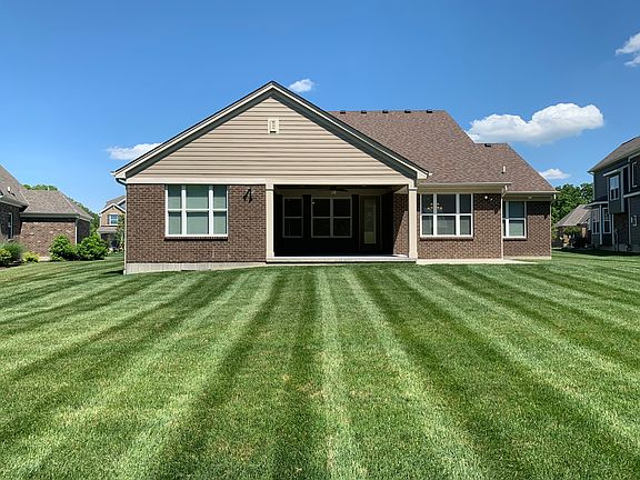 Large flat backyard