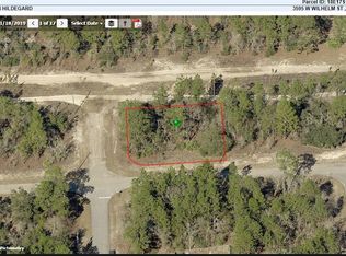 3595 W Wilhelm St, Citrus Springs, FL 34433