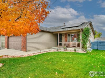 3985 Willowood Ave, Loveland, CO, 80538