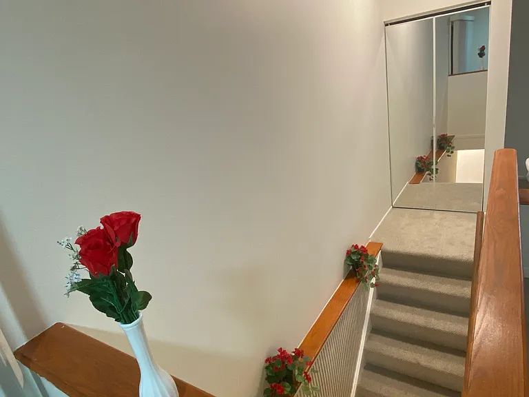 914 Van Buren Ct — Photo 7