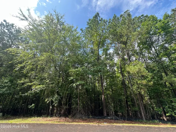 B15 L26 Blair Lane, McCormick, SC 29835