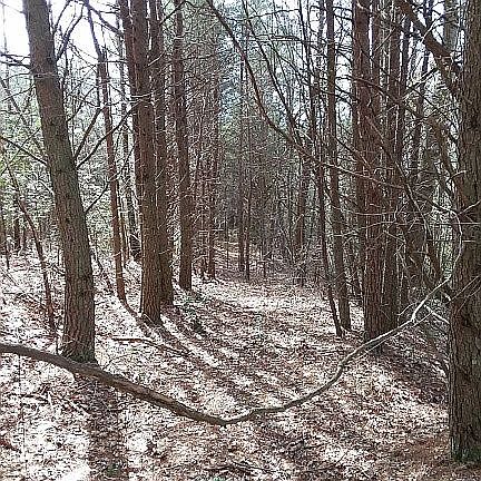property path