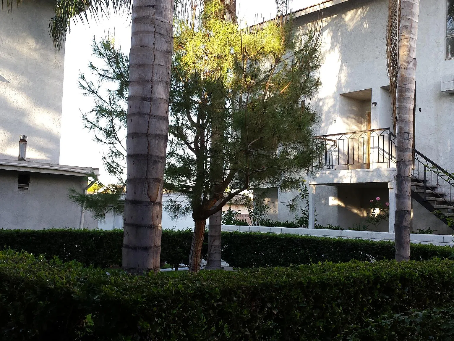 2 bed, 1.5 bath, 1075 sqft, $2,250 — Photo 2