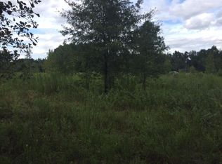 1523 Rev J W Carter Rd, Manning, SC 29102