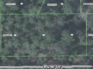 104 Ruth Dr, Crescent City, FL 32112
