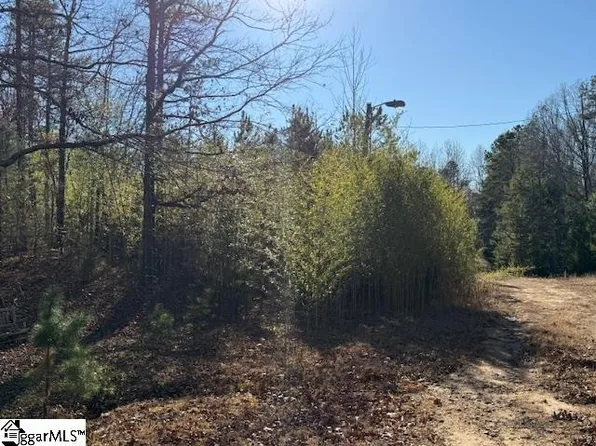0 Deaton Ln, Gray Court, SC 29645