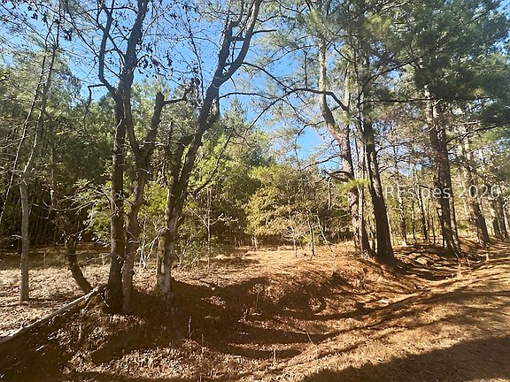 3rd image of 585 Bailey Mill Rd