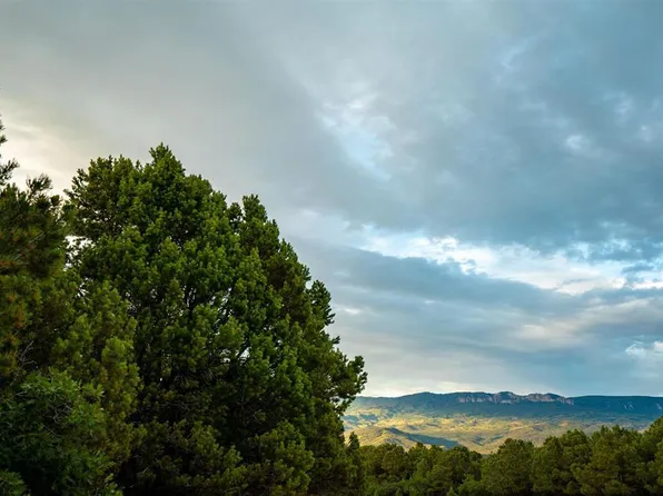 31 Cedar Lane W, Ridgway, CO 81432