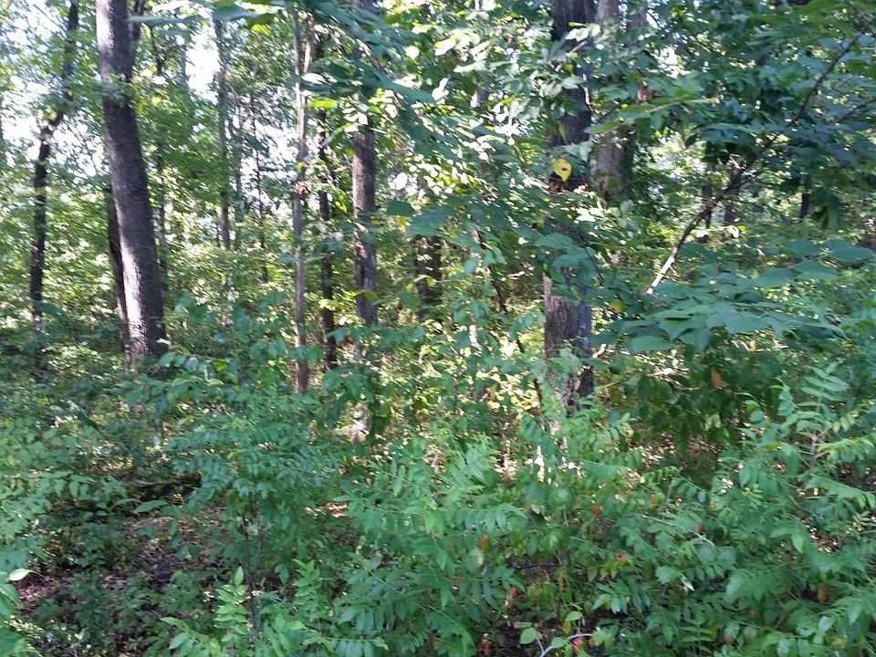 2nd image of 402 Oonoga Pl