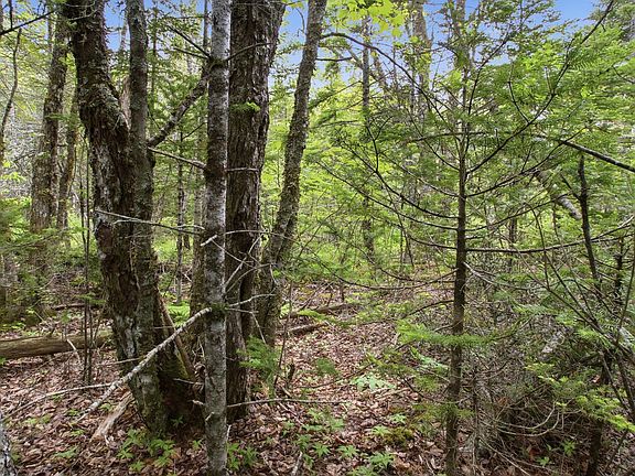 3rd image of 00 Kennebec Road