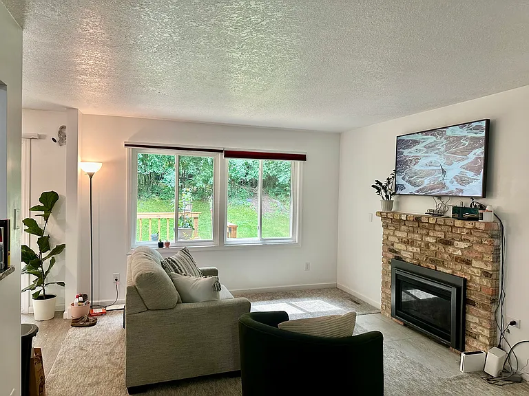 Living room with fireplace