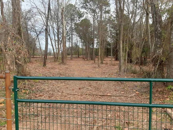 County Road 4700, Winnsboro, TX 75494