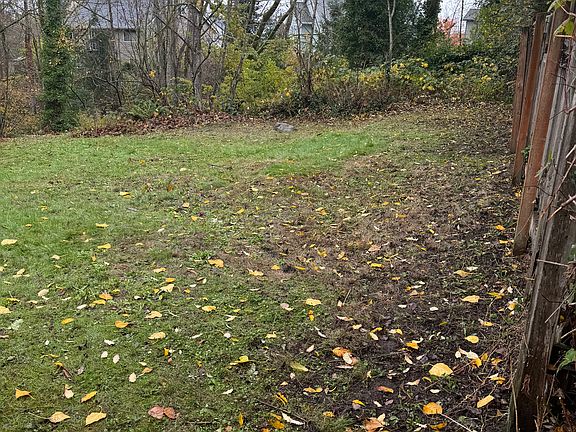 Back yard and green space