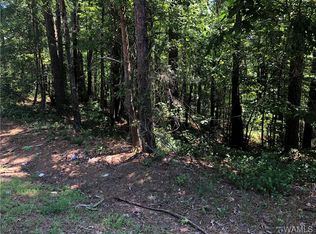 00 Parsons Rd, Vance, AL 35490