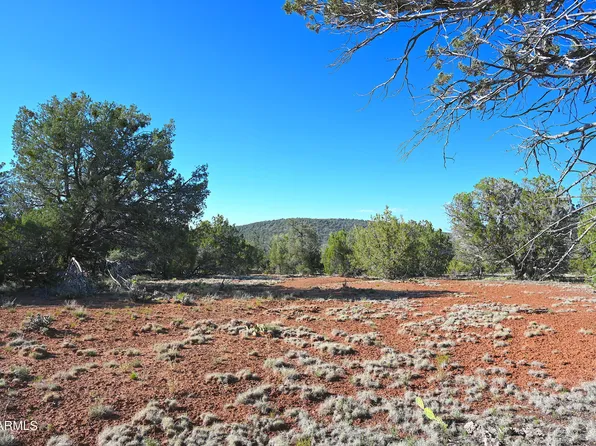 30875 W OAK Drive #346, Seligman, AZ 86337