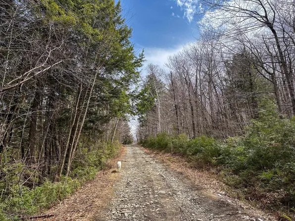 00 Boone Road, Andover, VT 05143
