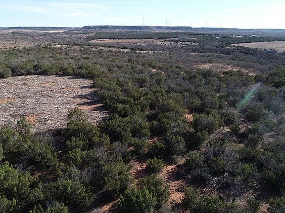 2nd image of Fm 1856
