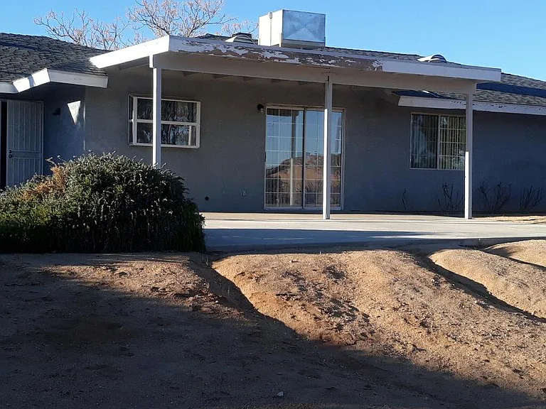 View from the back yard