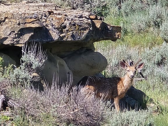 3rd image of Tbd County Road 29