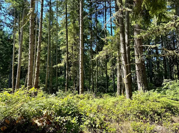 10928 118th Avenue Ct, Anderson Island, WA 98303