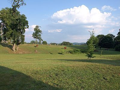 Huge Backyard that Backs up to a Pasture