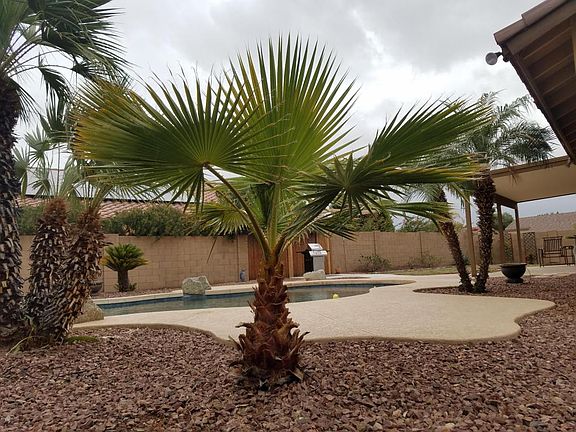 5th image of 14916 W Honeysuckle Ln
