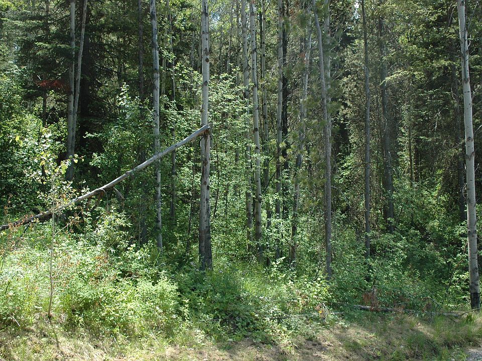 1st image of Black Bear Ln