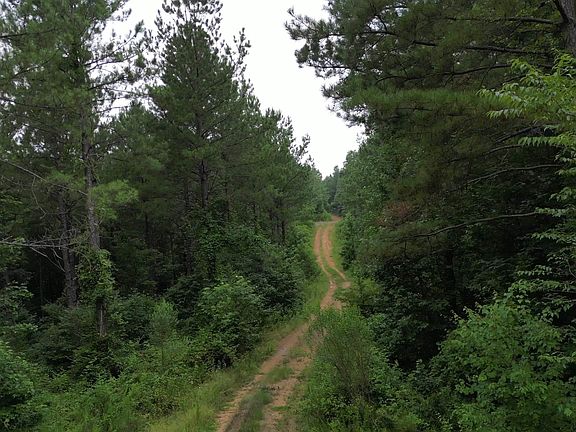 4th image of 2728 County Road 49 #1