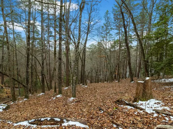 LOT 5 Curtis Rdg, Blue Ridge, GA 30513