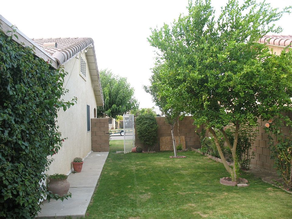 Side Yard