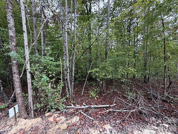 2nd image of V/l W Thompson Rd #V