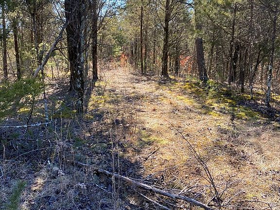 5th image of 4632 Greeley Haun Rd Lot Blk4