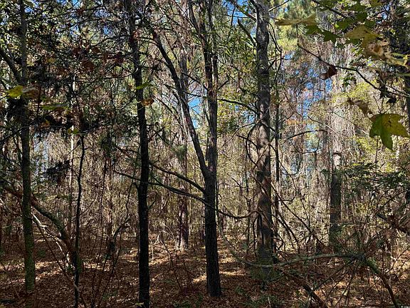4th image of 793 Puncheon Creek Dr.