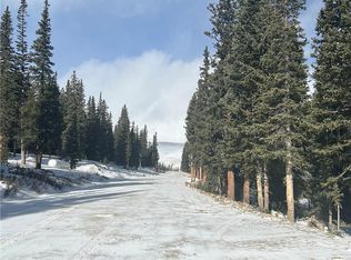 1031 Prunes Pl, Fairplay, CO 80440