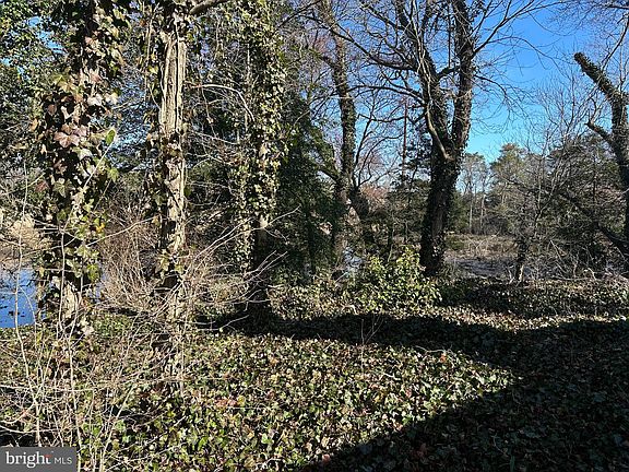 3rd image of 7743 Morgan Branch Dr
