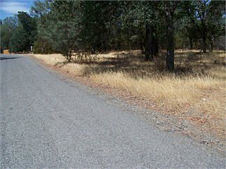 5th image of 16840 Elder Creek Cir