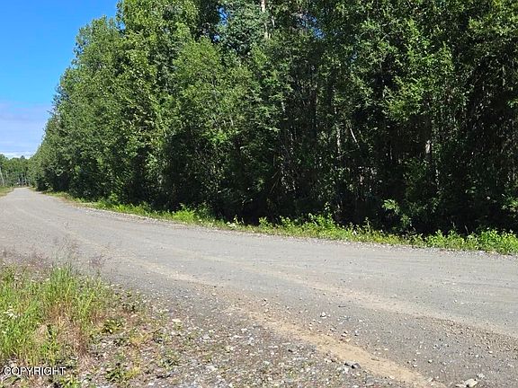 4th image of 49701 S Denali View Dr