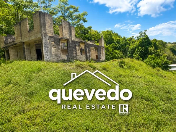 Franquez, Morovis, PR 00687