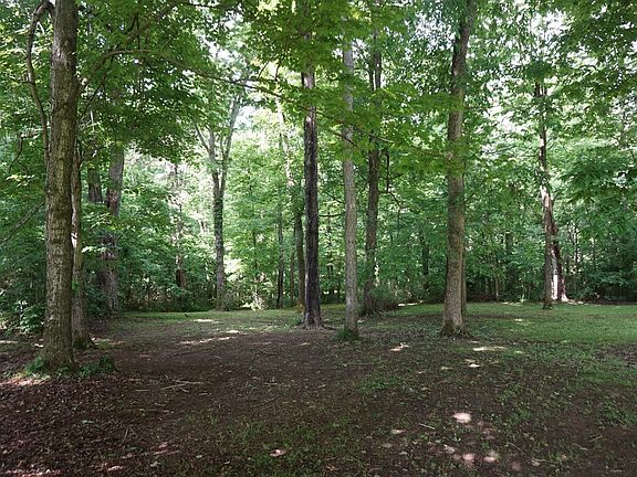 5th image of 36 Royalty Dr Lot 1/2